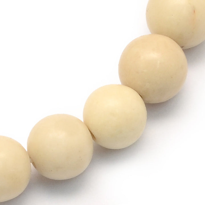 Fossil Beads, Semi-Precious Stone Beads, Bone Color, 4mm, 98pcs/strand